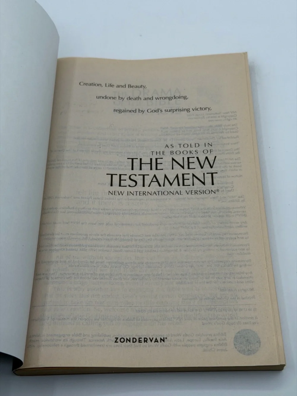 New International Version New Testament Holy Bible Large Print (2011, Paperback)